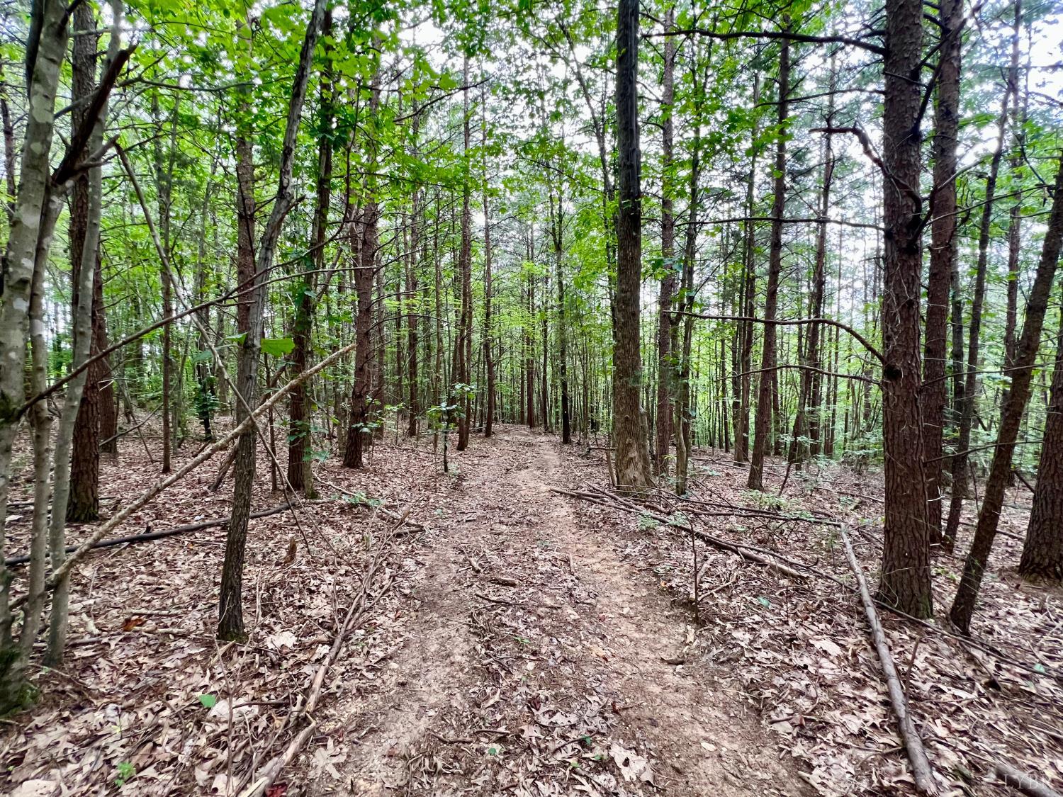 750 Looner Den Road Appomattox, VA 24522 - Photo 54 of 91 a view of outdoor space with lots of trees