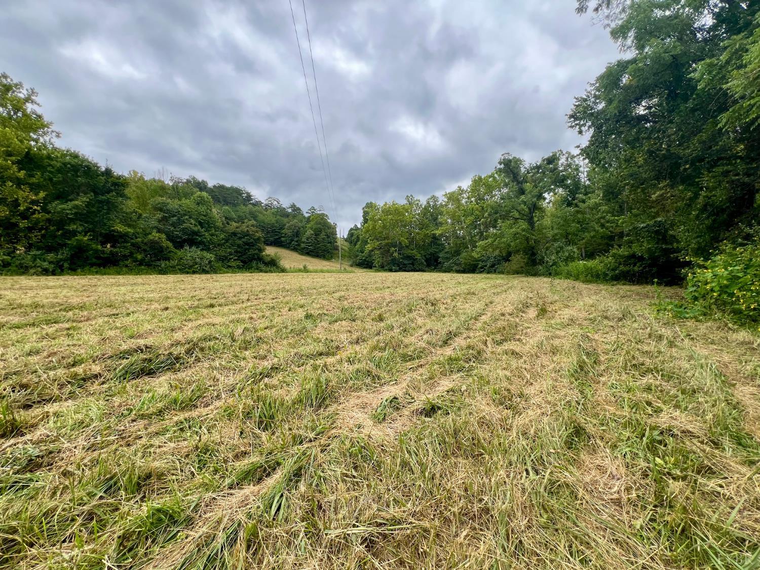 750 Looner Den Road Appomattox, VA 24522 - Photo 66 of 91 a view of an ocean