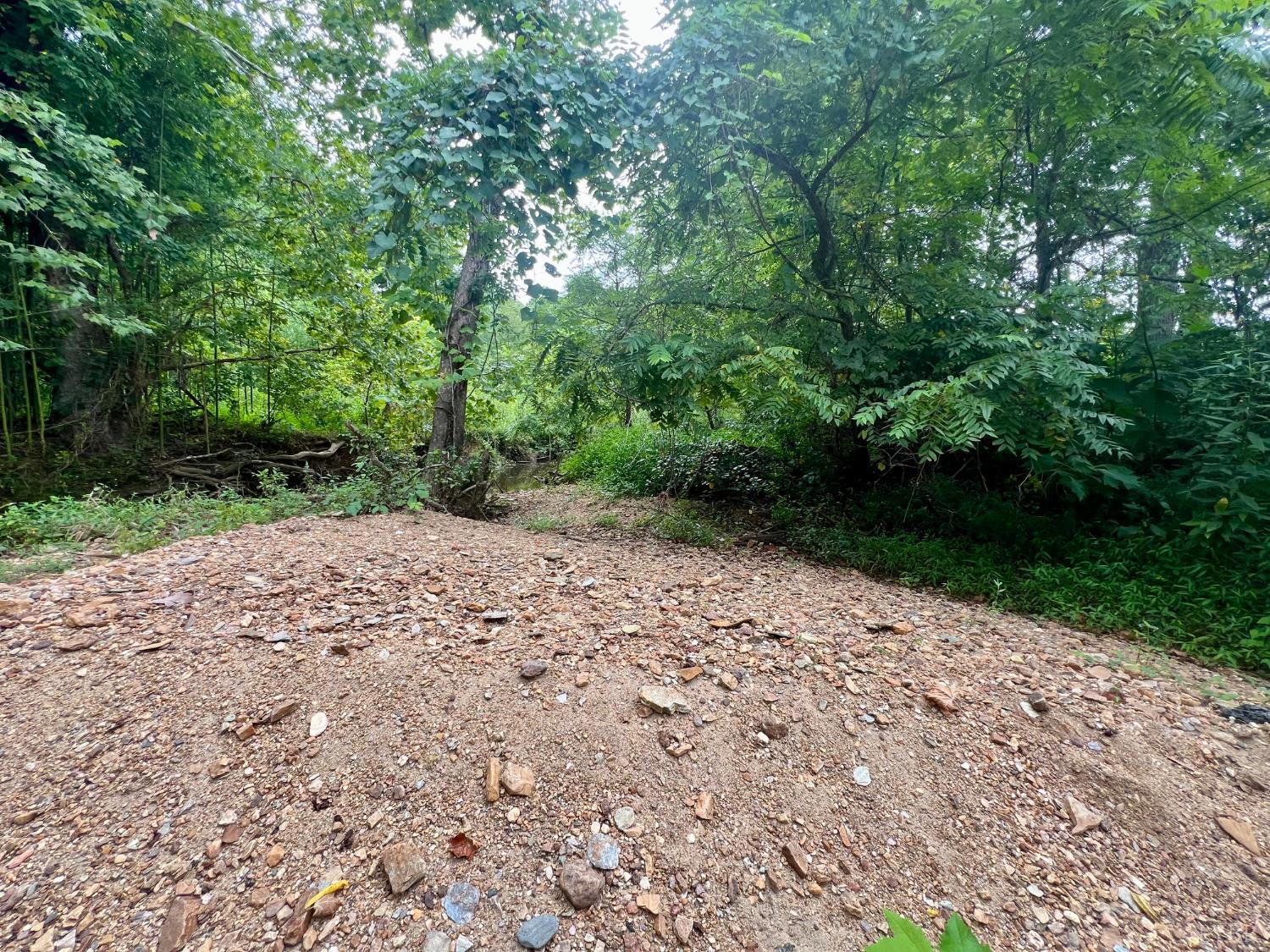 750 Looner Den Road Appomattox, VA 24522 - Photo 72 of 91 a view of backyard with green space