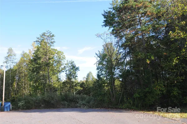 a view of a yard with large trees