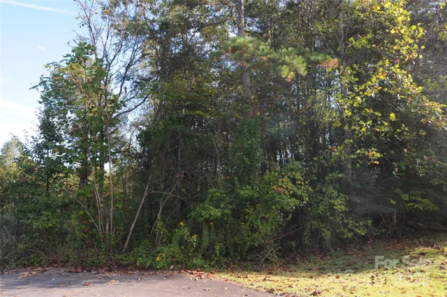 a view of a yard with trees