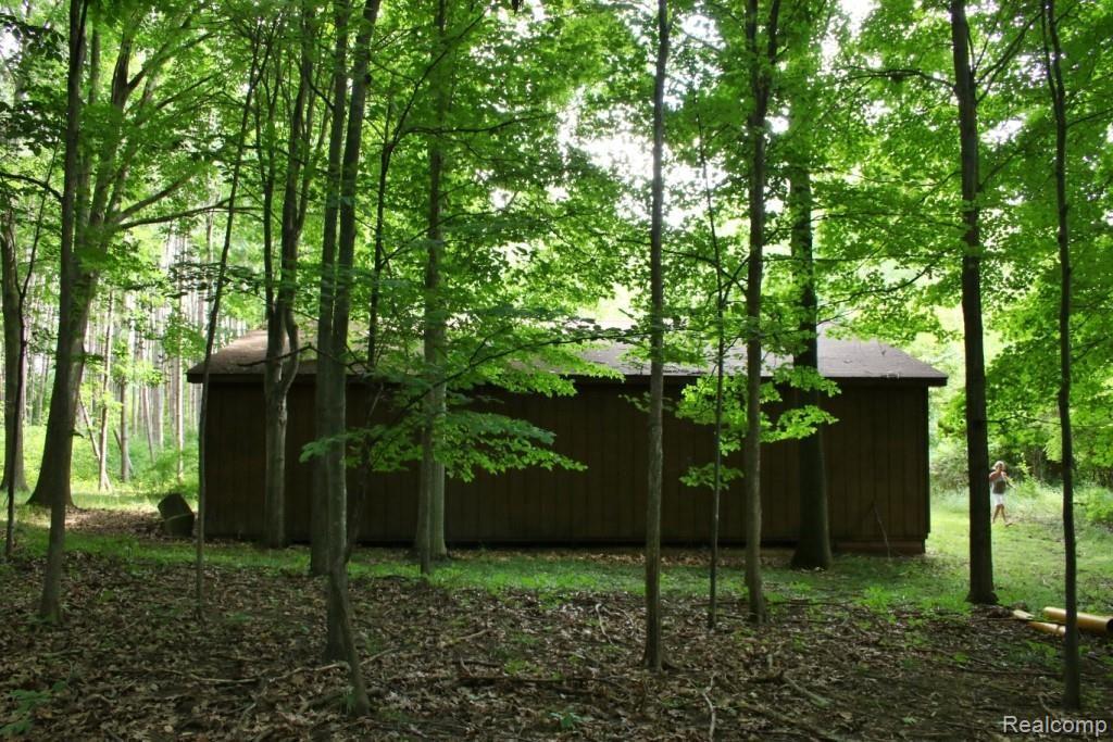 1763 Birch Road Attica, MI 48412 - Photo 86 of 91 2G9A1220 2.jpg