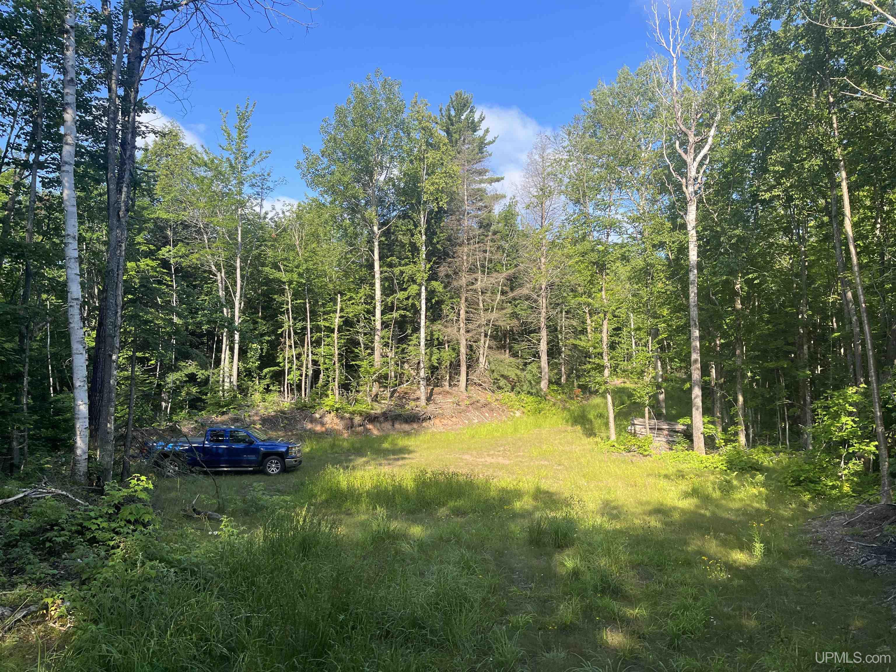 510 Rd Ishpeming Mi 49849 Road Negaunee, MI 49866 - Photo 3 of 33