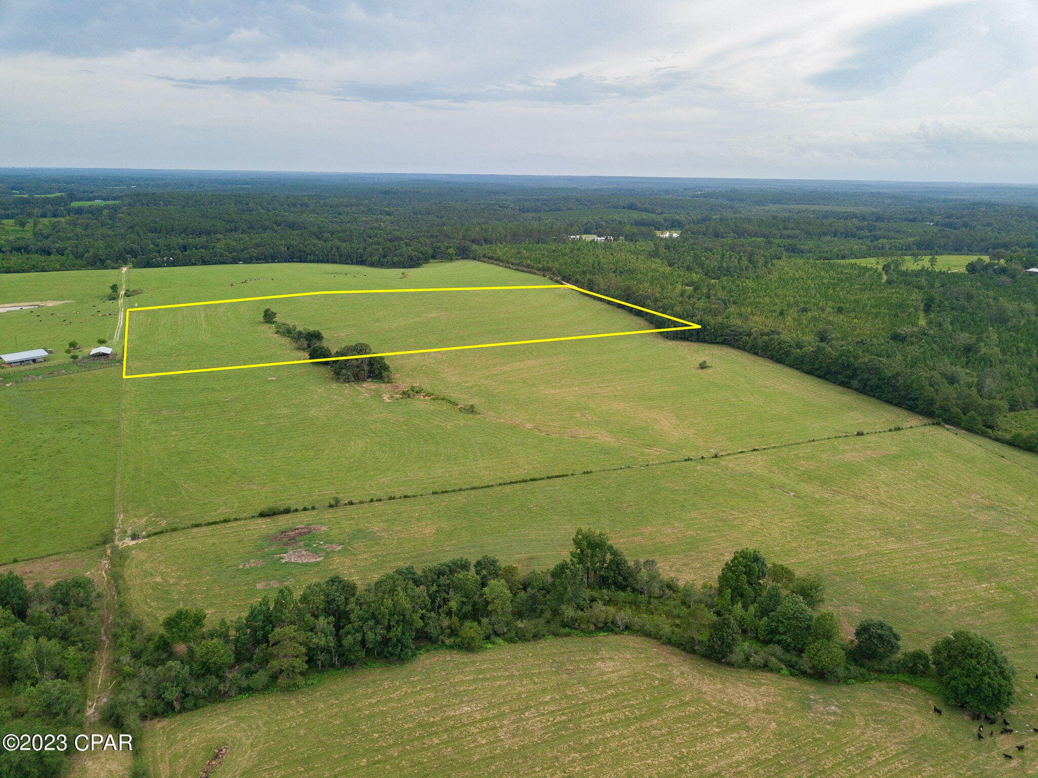 0 Arnold Road Westville, FL 32464 - Photo 3 of 6