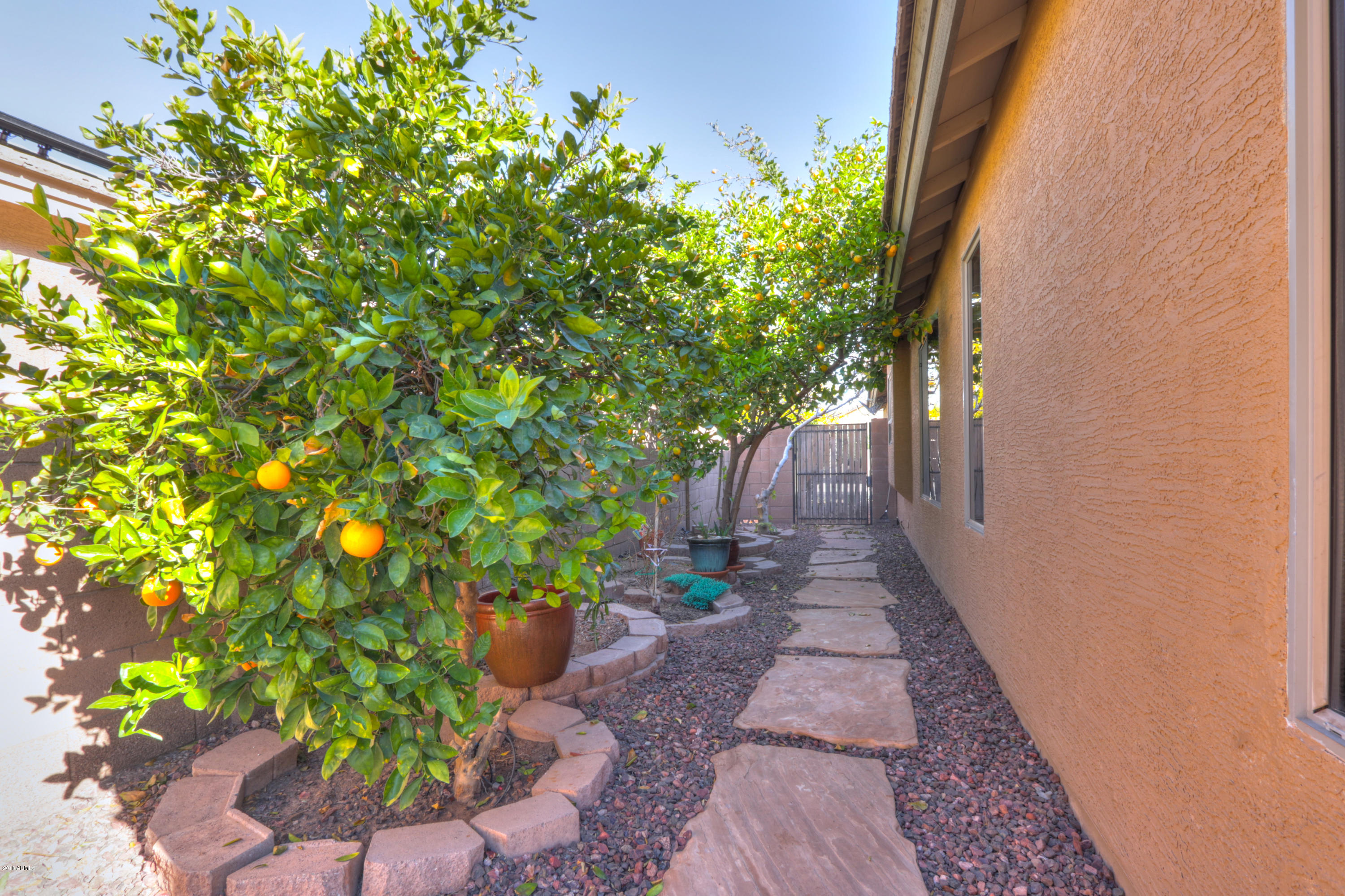 22449 North Agave Road Maricopa, AZ 85138 - Photo 40 of 42 39