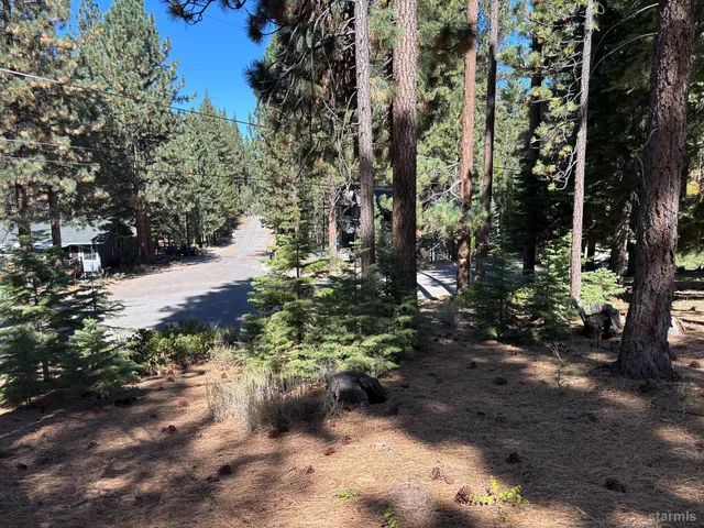 a view of a yard with plants and trees