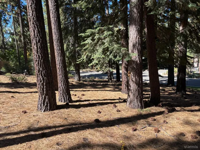a view of a backyard of the house