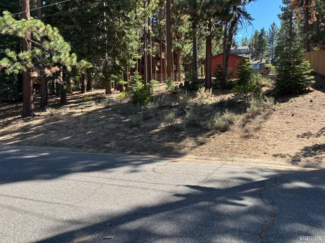 a view of street with covered with large trees