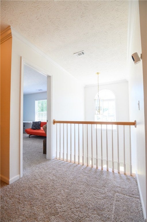893 Tulane Road Auburn, AL 36830 - Photo 21 of 33 Gallery Image 21