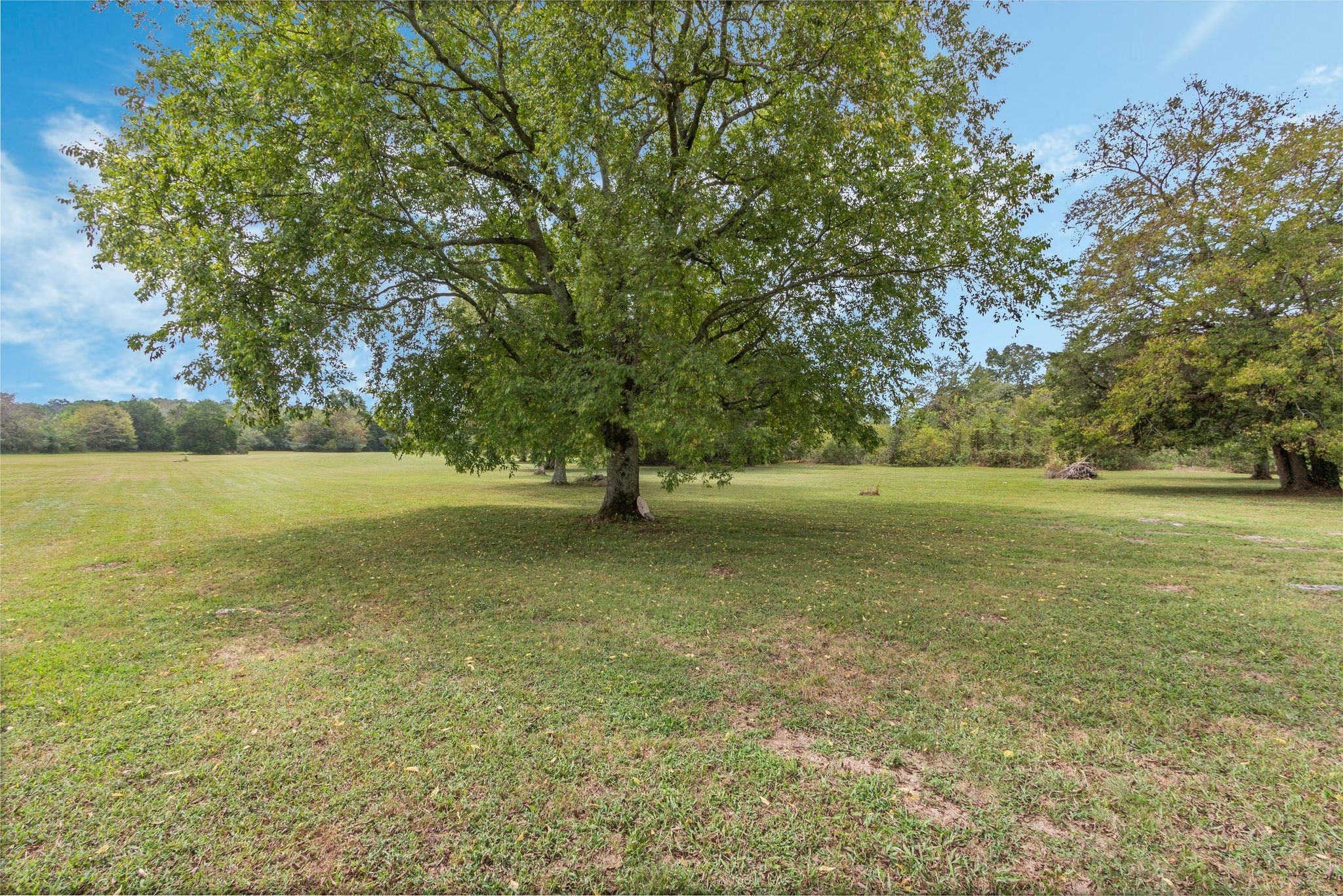 3448 Tobe Robertson Road Columbia, TN 38401 - Photo 29 of 34 Gallery Image 29