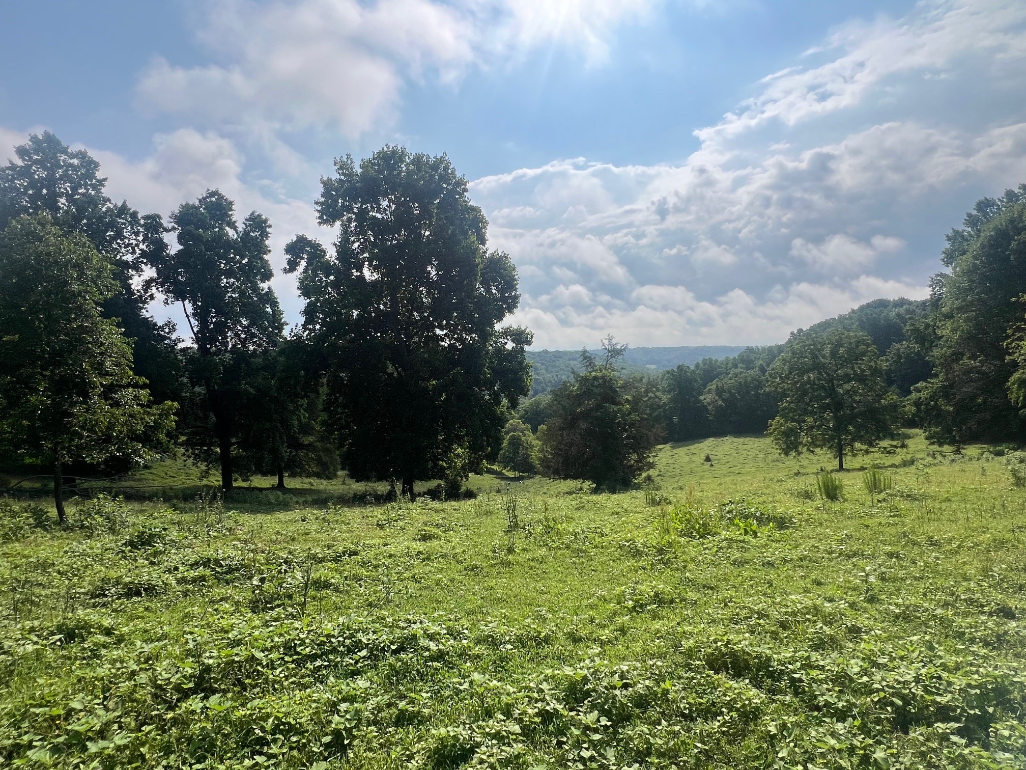 0 Beech Hill Road Pulaski, TN 38478 - Photo 13 of 28