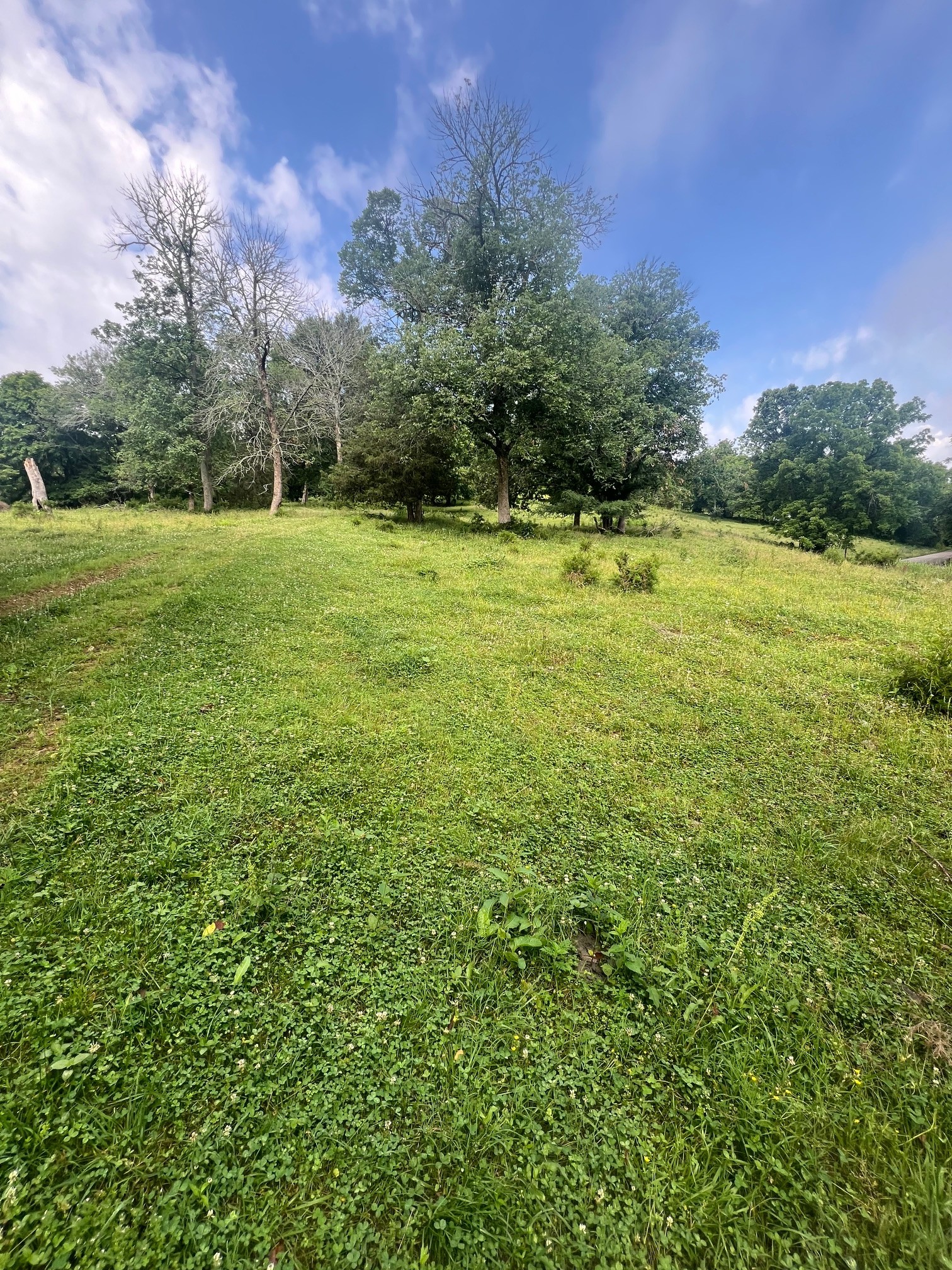 0 Beech Hill Road Pulaski, TN 38478 - Photo 23 of 28
