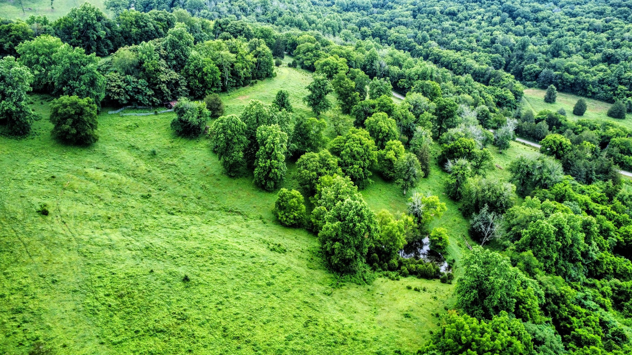 0 Beech Hill Road Pulaski, TN 38478 - Photo 7 of 28