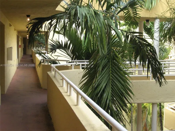 a view of a garden with palm trees