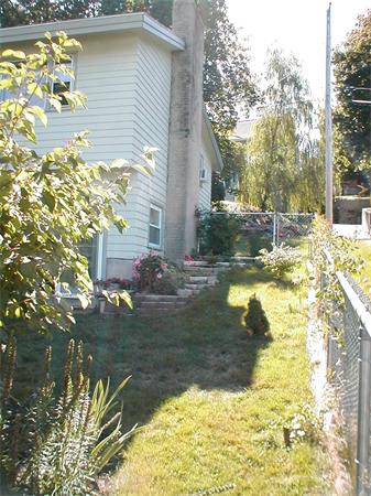 282 Butman Road Lowell, MA 01852 - Photo 24 of 25 Gallery Image 24