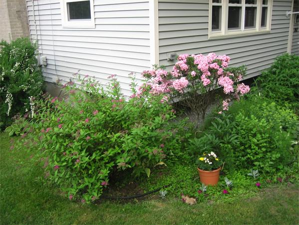 282 Butman Road Lowell, MA 01852 - Photo 25 of 25 Gallery Image 25