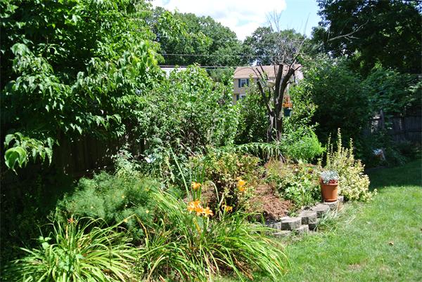 282 Butman Road Lowell, MA 01852 - Photo 3 of 25 Gallery Image 3
