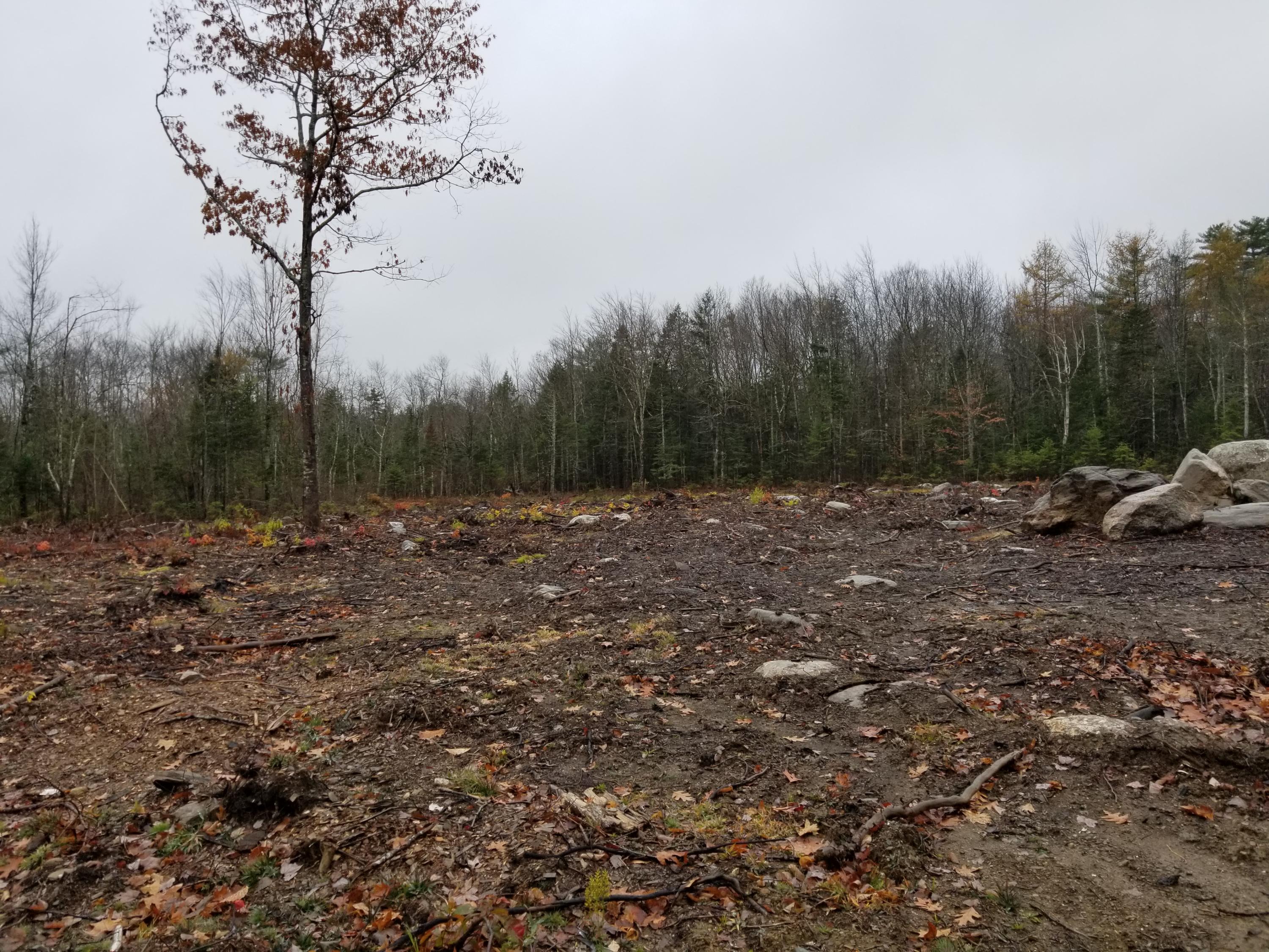 Lot #2 Pindo Polara Road Jefferson, ME 04348 - Photo 3 of 3 20191028_081711