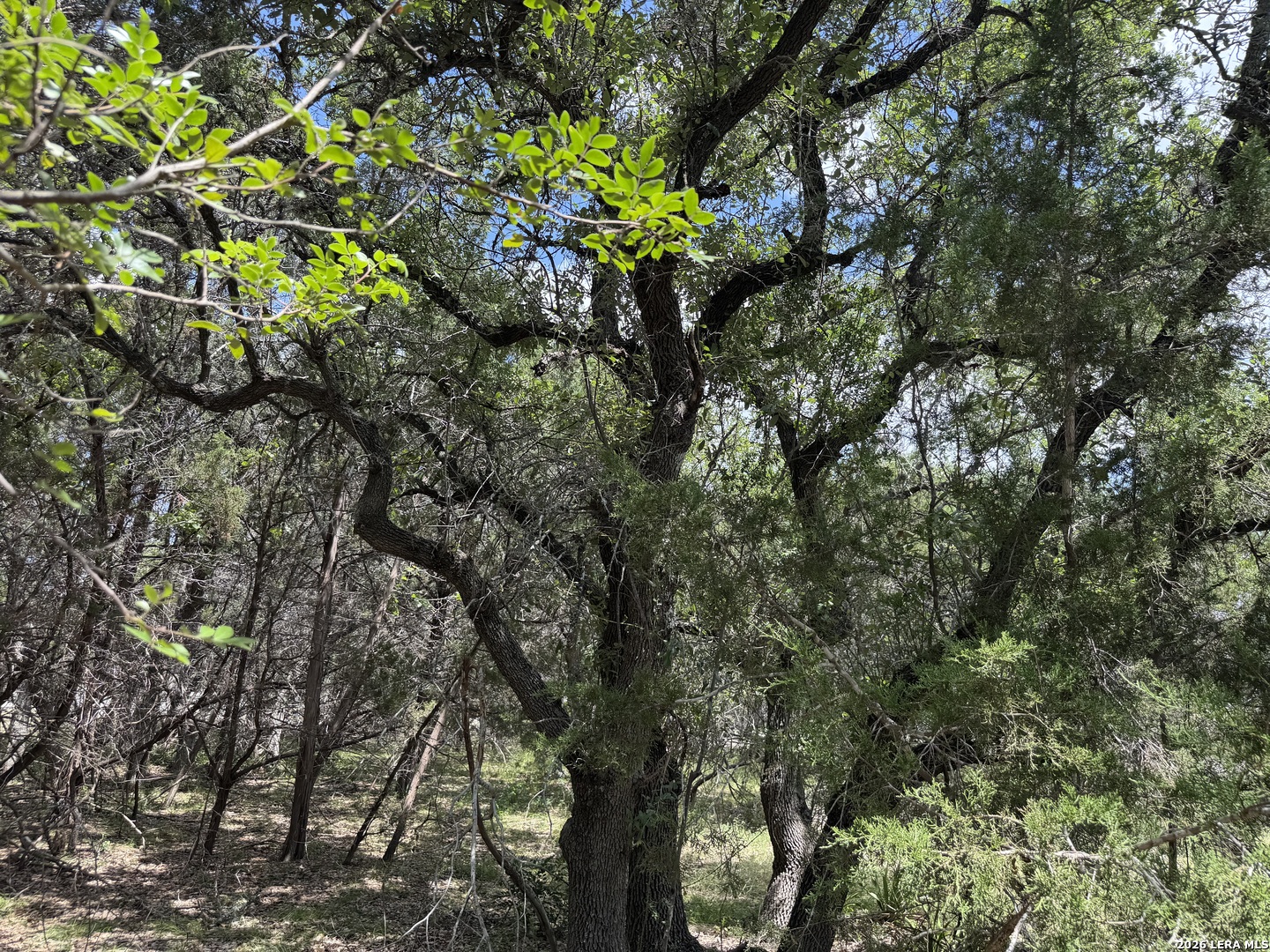 180 Rosenberry Bulverde, TX 78163 - Photo 21 of 28 Gallery Image 21