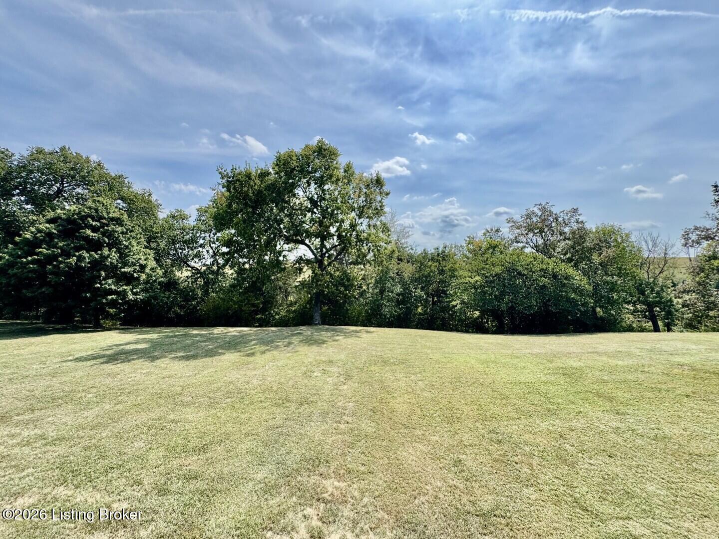 135 Brookside Drive Springfield, KY 40069 - Photo 41 of 46 040_Yard
