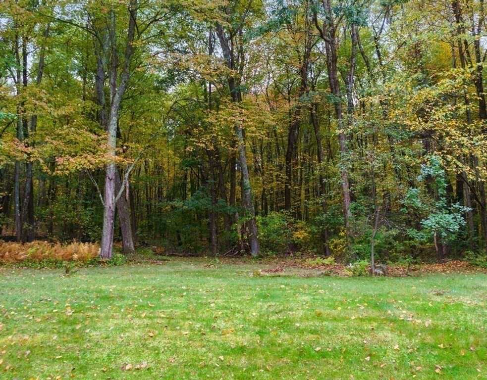 830 Liberty Square Road Boxborough, MA 01719 - Photo 31 of 40 a view of a backyard