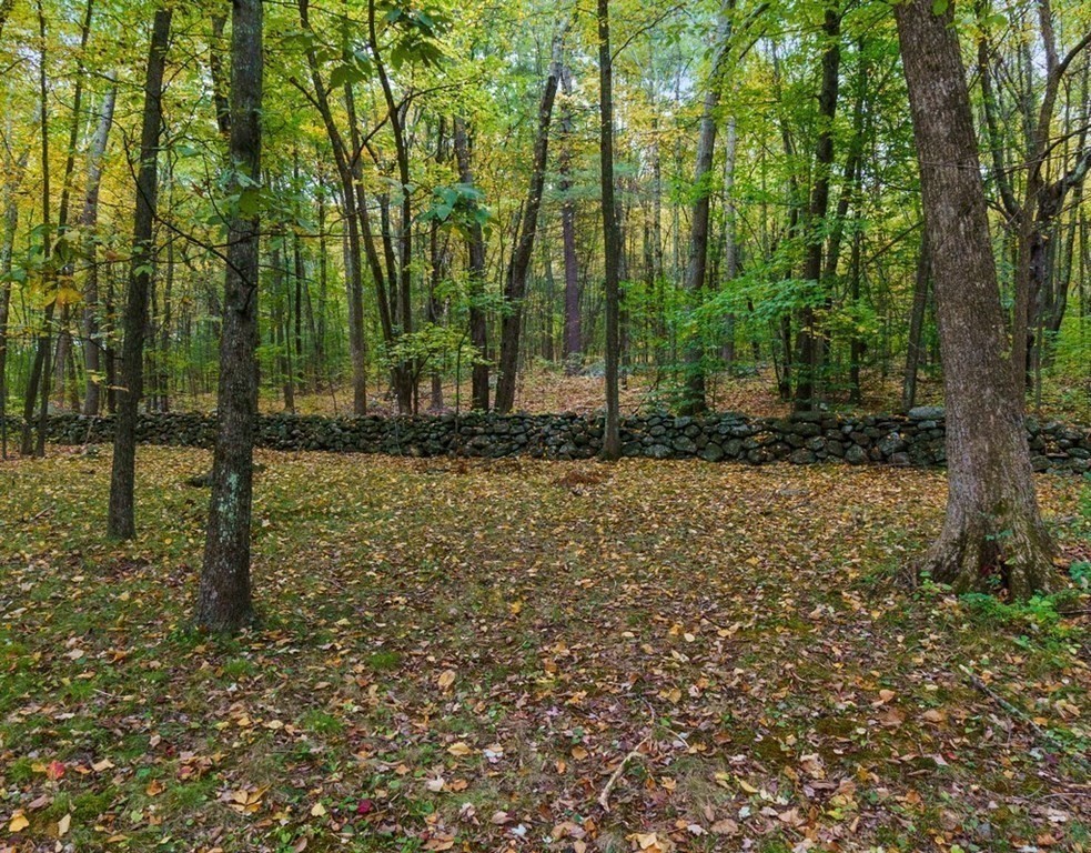 830 Liberty Square Road Boxborough, MA 01719 - Photo 32 of 40 a view of outdoor space and yard
