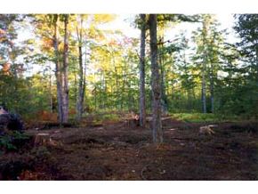 - Ryan Road Barton, VT 05822 - Photo 3 of 4