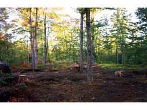 - Ryan Road Barton, VT 05822 - Photo 4 of 4