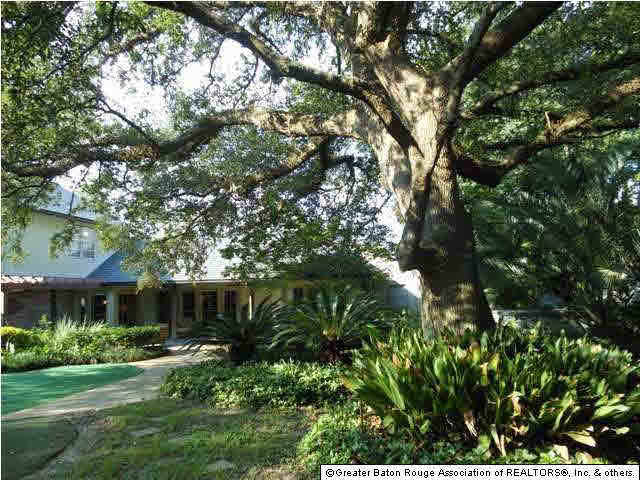 17812 Crossing View Court Baton Rouge, LA 70810 - Photo 11 of 27