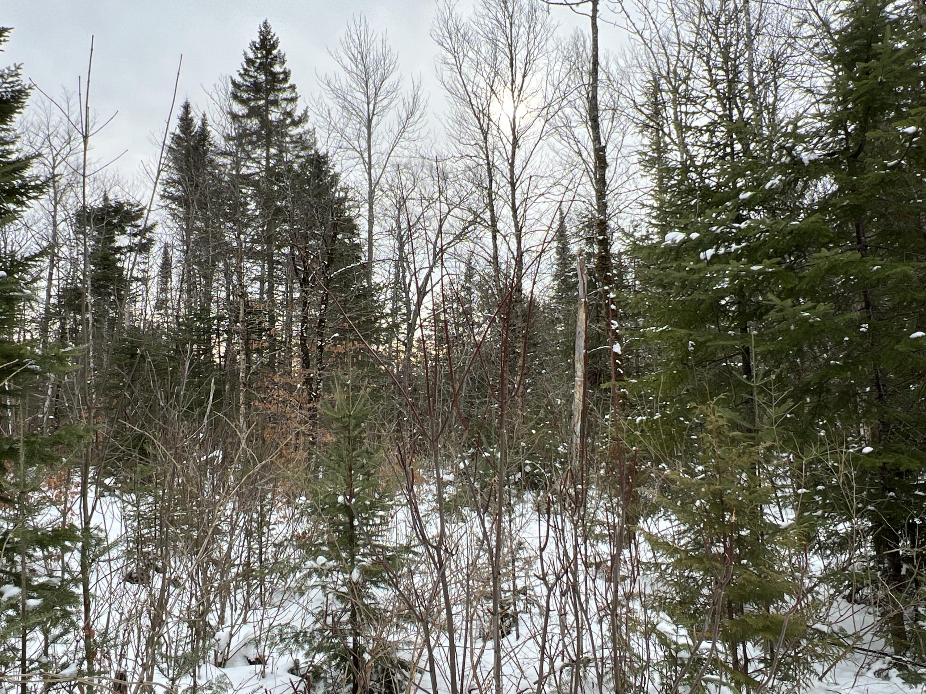 Lot 2-18 Shin Pond Rd Mount Mount Chase, ME 04765 - Photo 39 of 59