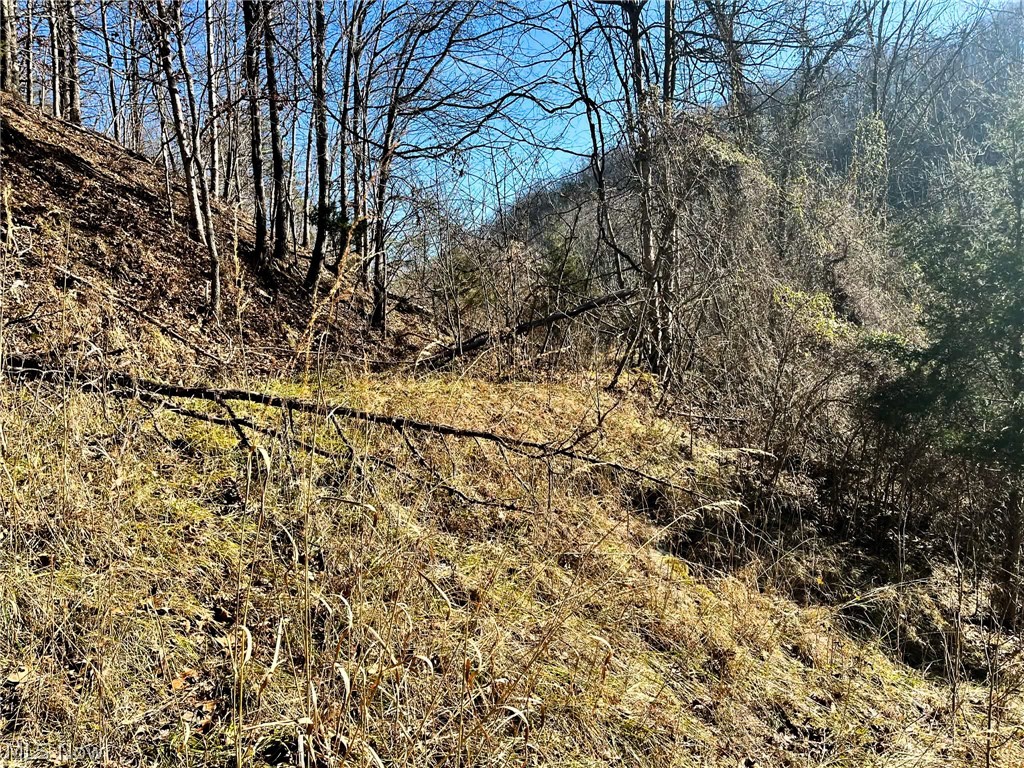 34 Rd Ripley Wv 25271 Ripley, WV 25271 - Photo 6 of 14