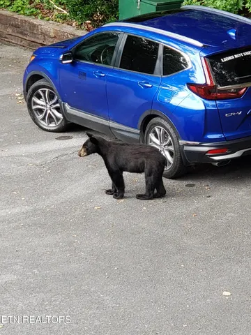 $374,900 | 429 Deer Path Lane, Unit 106, Gatlinburg, TN 37738