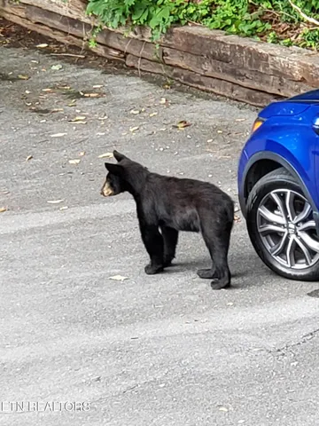 $374,900 | 429 Deer Path Lane, Unit 106, Gatlinburg, TN 37738