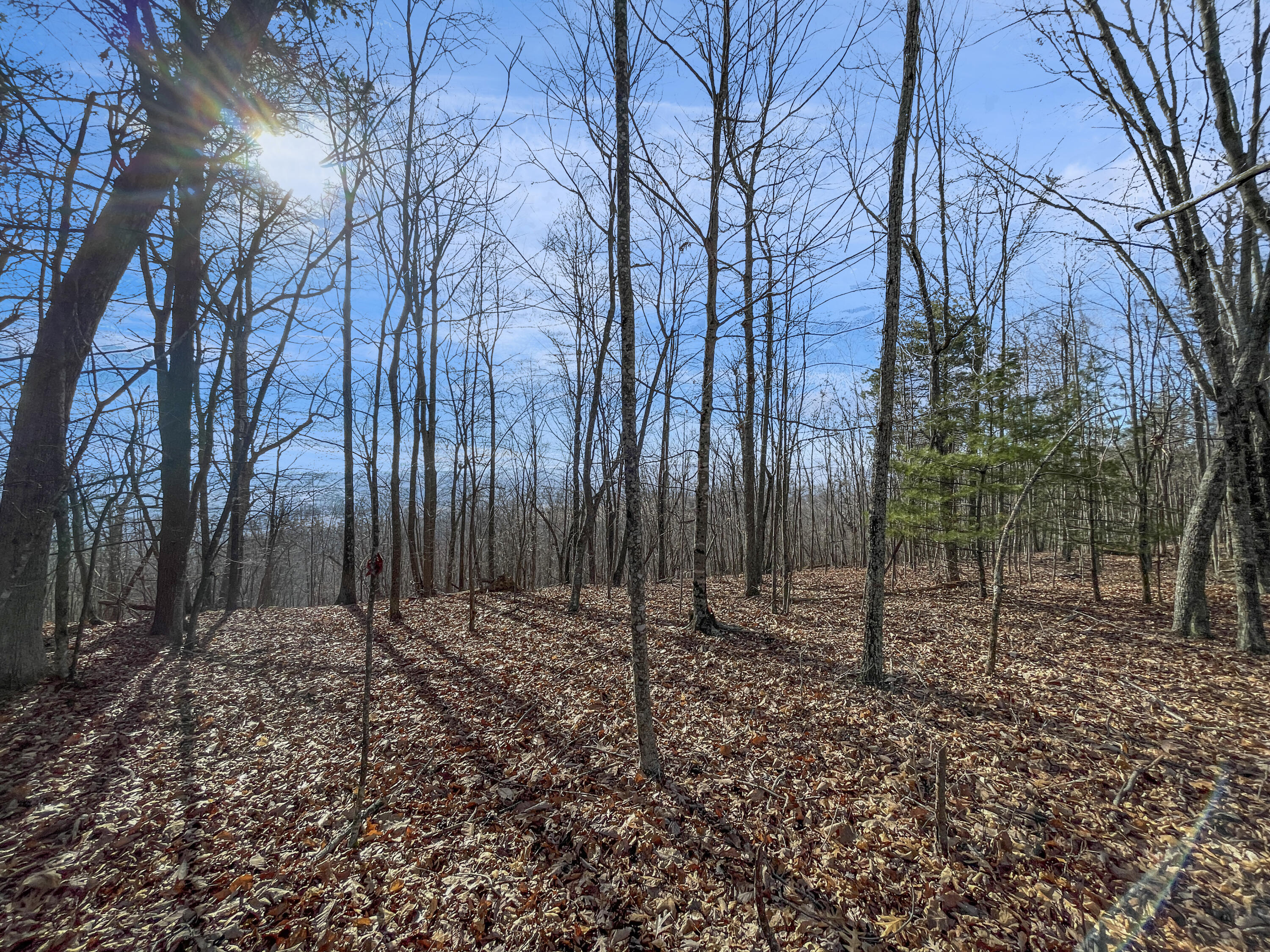 0 Penny Royal Road Pilot, VA 24138 - Photo 17 of 28 a view of a backyard