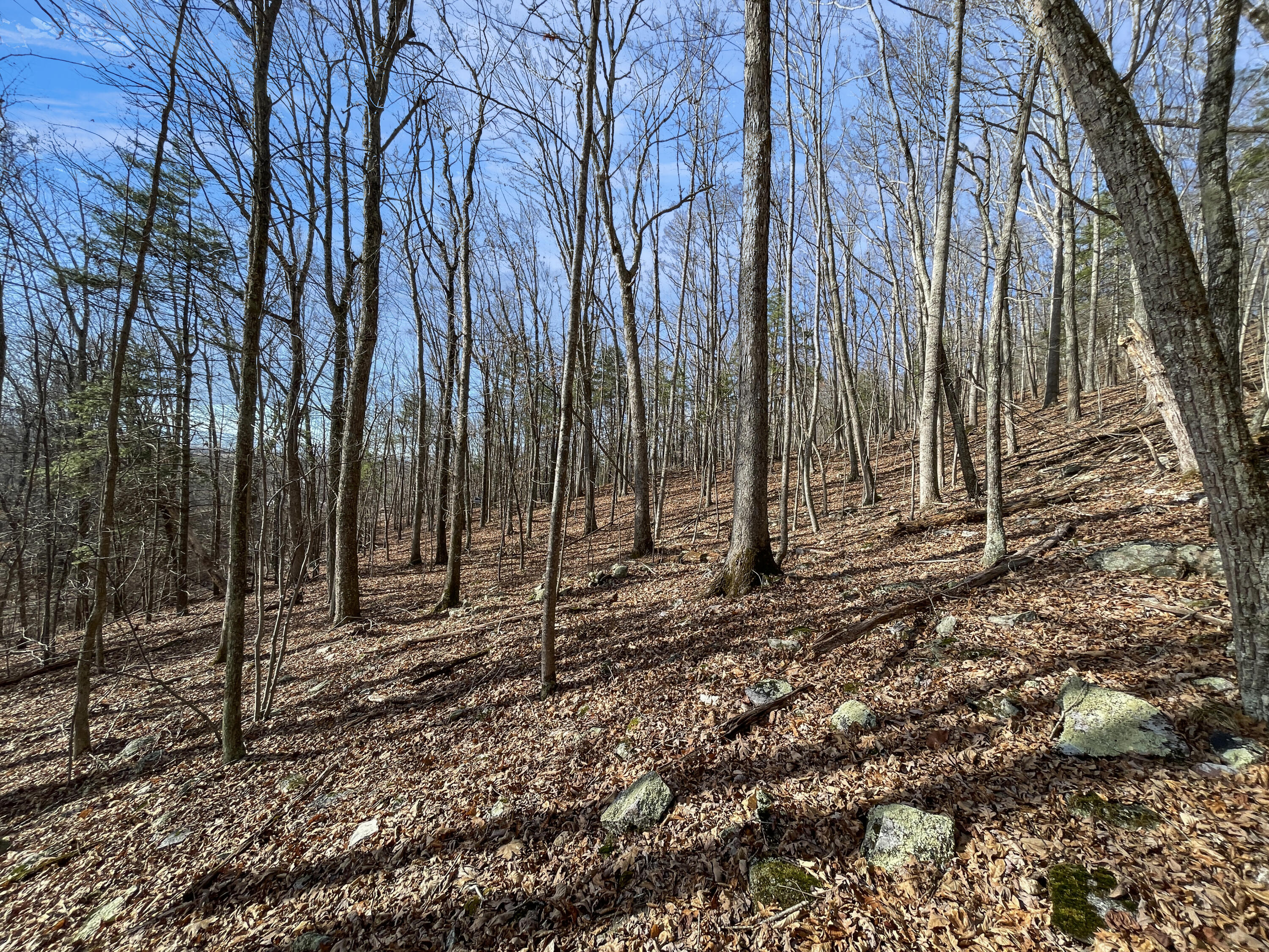 0 Penny Royal Road Pilot, VA 24138 - Photo 25 of 28 a backyard of a house with lots of green space