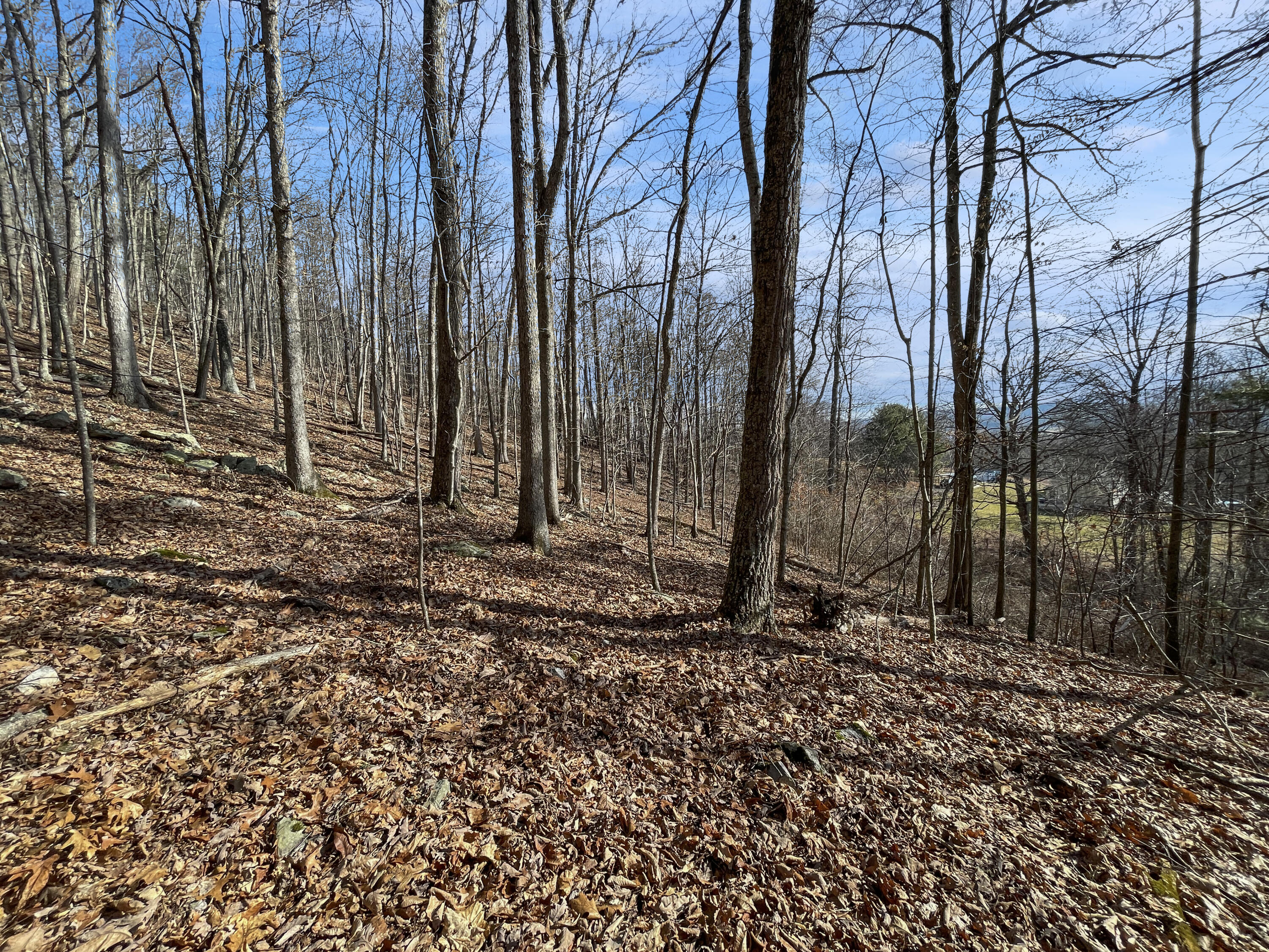 0 Penny Royal Road Pilot, VA 24138 - Photo 27 of 28 a view of a backyard of the house