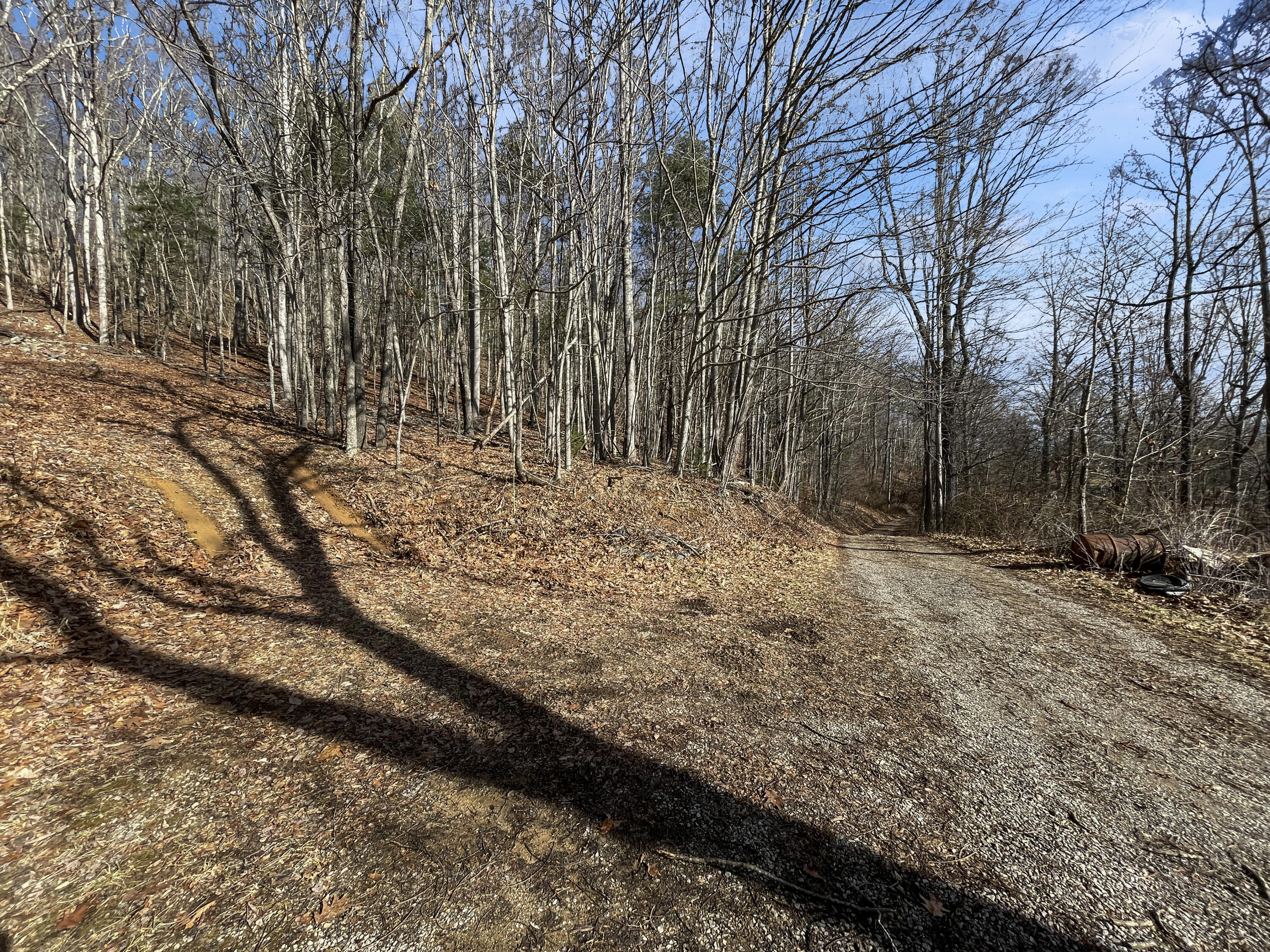 0 Penny Royal Road Pilot, VA 24138 - Photo 4 of 28 a view of a yard with trees