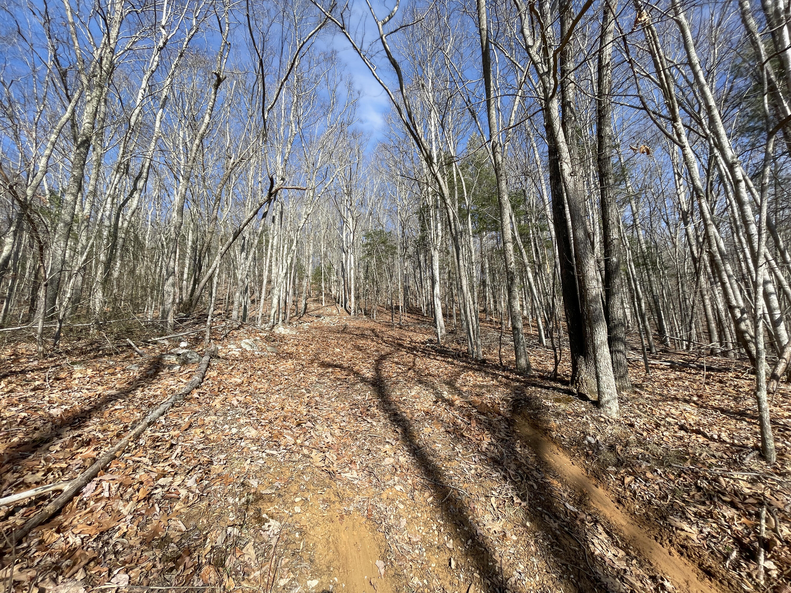 0 Penny Royal Road Pilot, VA 24138 - Photo 5 of 28 a view of backyard with large trees