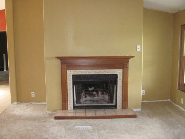 7429 West Pauling Road Monee, IL 60449 - Photo 4 of 21