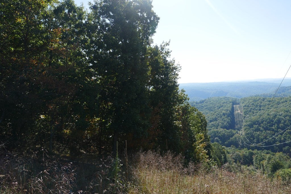 Tbd Hall Hollow Road, Unit 1 Austinville, VA 24312 - Photo 8 of 76 Gallery Image 8