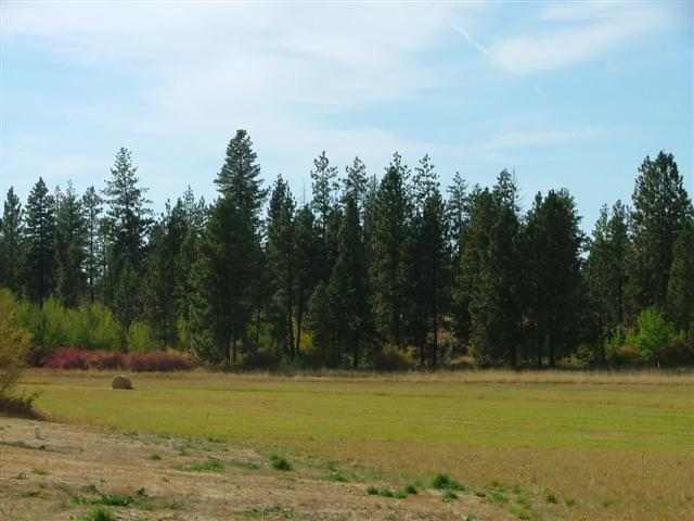 0 South Parker Road, Unit PARCEL D E F Spangle, WA 99031 - Photo 2 of 9