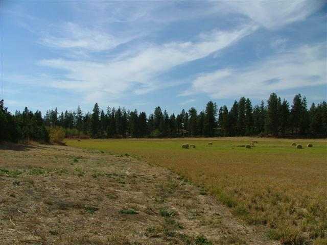 0 South Parker Road, Unit PARCEL D E F Spangle, WA 99031 - Photo 4 of 9