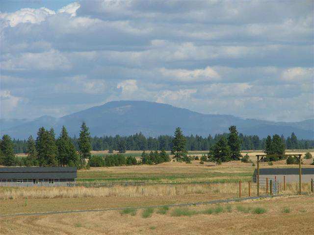 0 South Parker Road, Unit PARCEL D E F Spangle, WA 99031 - Photo 7 of 9