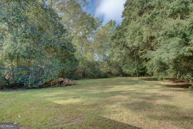 a view of a field with trees