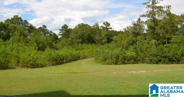 403 Lake Chelsea Way Chelsea, AL 35043 - Photo 35 of 38