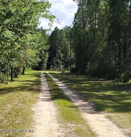 a view of a swimming pool with a large trees