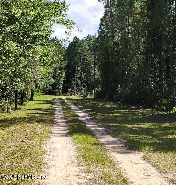 4329 Bondarenko Road Keystone Heights, FL 32656 - Photo 2 of 5 a view of a swimming pool with a large trees