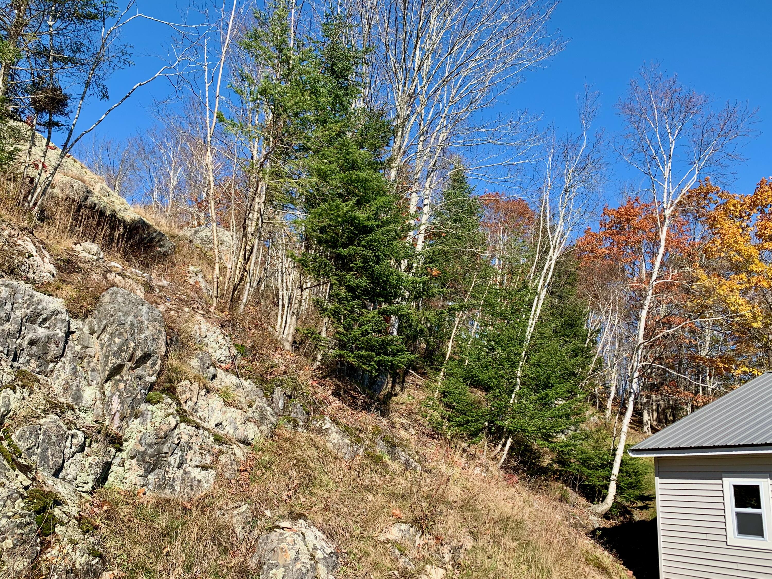 258 Rim Road East Machias, ME 04630 - Photo 41 of 56 IMG_8134