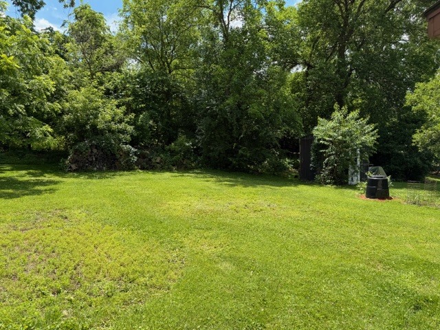 907 Houston Avenue Elgin, IL 60120 - Photo 13 of 18