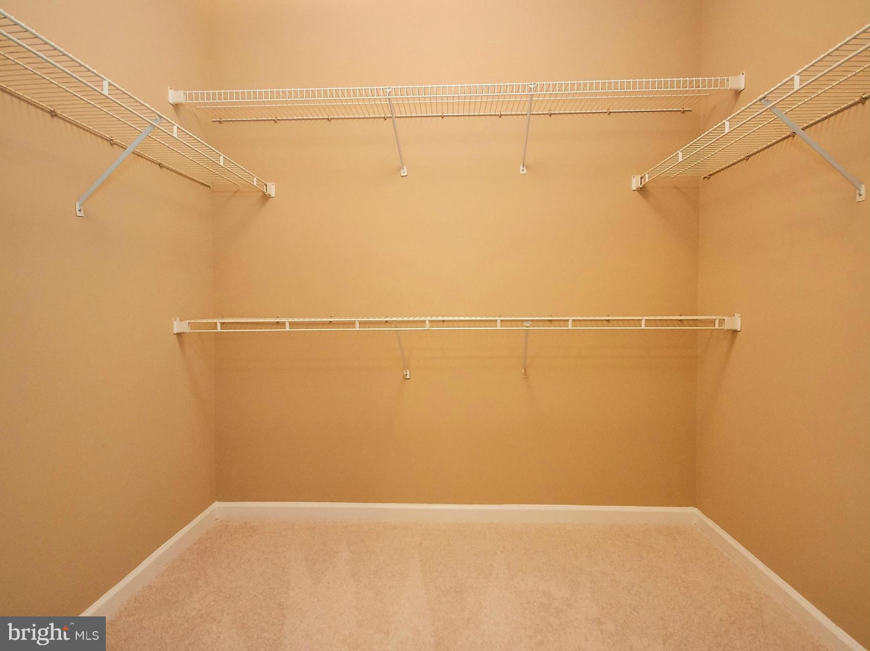 12024 Taliesin Place, Unit 12 Reston, VA 20190 - Photo 12 of 28 Huge Walk In Closet in Master Bedroom